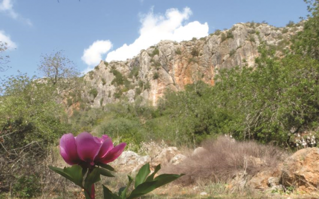 Dia 3 - Salir a Silves / Cycling