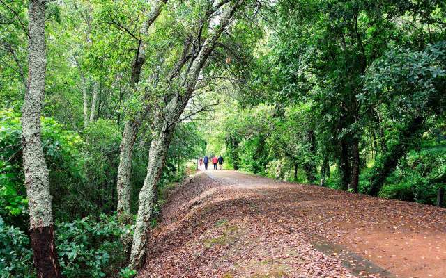 Ecopista do Tâmega / Walking