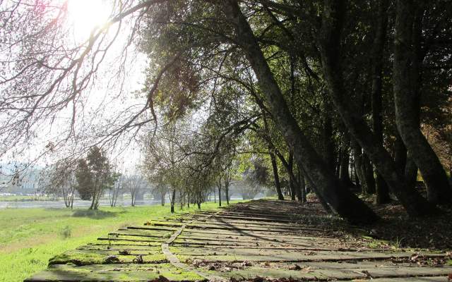 Ecovia do Rio Lima / Cycling