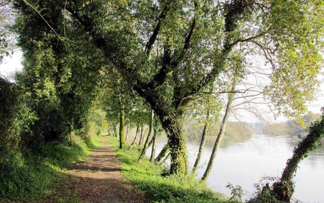 Porto e Norte / Walking