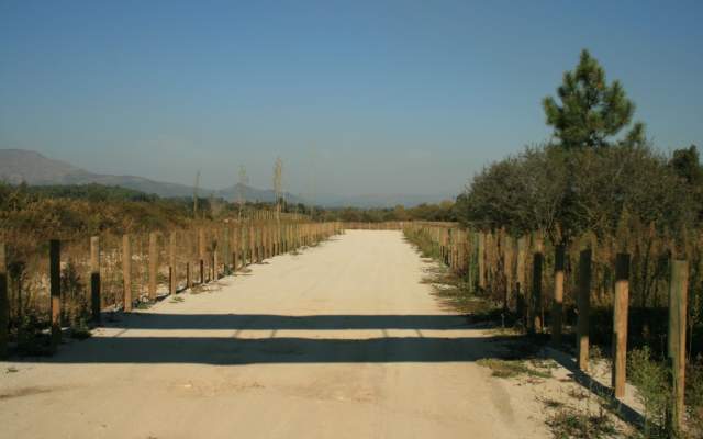 Ecovia do Rio Lima / Cycling