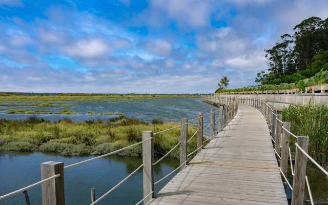 Grande Rota da Ria de Aveiro - Percurso Azul