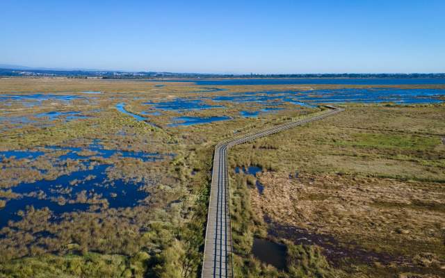 Esteiro de Salreu (Estarreja) » Cais da Béstida (Murtosa)