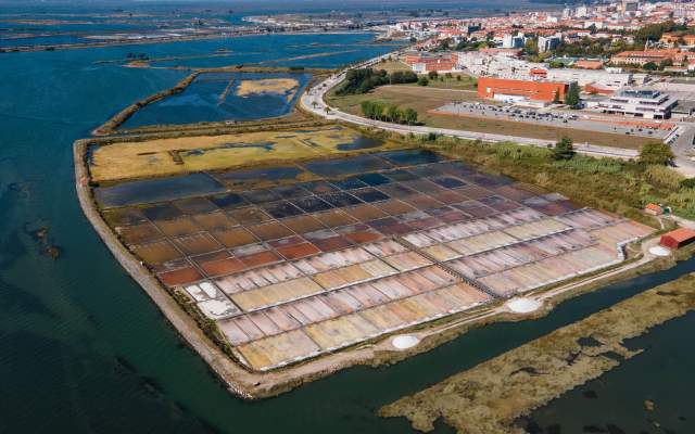 Santuário de Nª Srª de Vagos » Canal de São Roque (Aveiro)