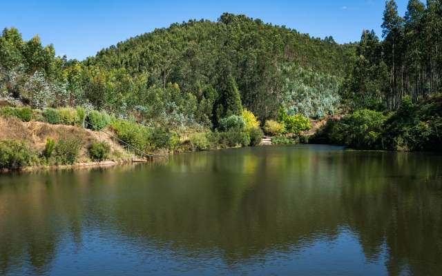 Águeda (centro) » Anadia (centro)