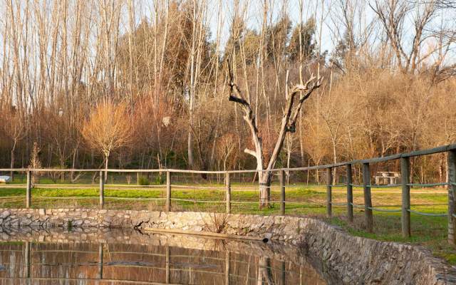 Grande Rota da Ria de Aveiro - Percurso Verde
