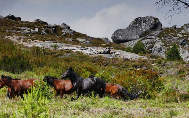 Grande Rota Peneda-Gerês