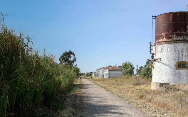Ecopista Ramal de Reguengos / Cycling