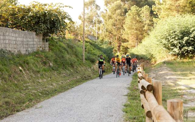 Ecopista do Vouga / Cycling