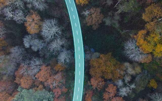 Ecopista do Vouga / Cycling
