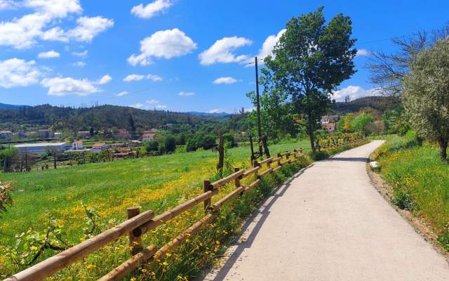 Ecopista do Vouga / Walking