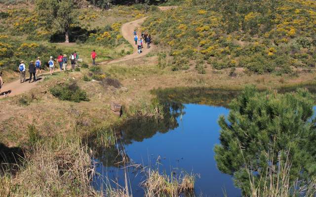 Rota do Guadiana / Walking