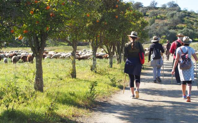 Rota do Guadiana / Walking