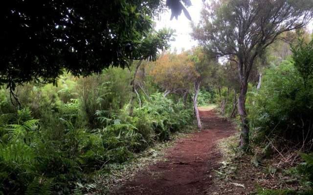 Madeira