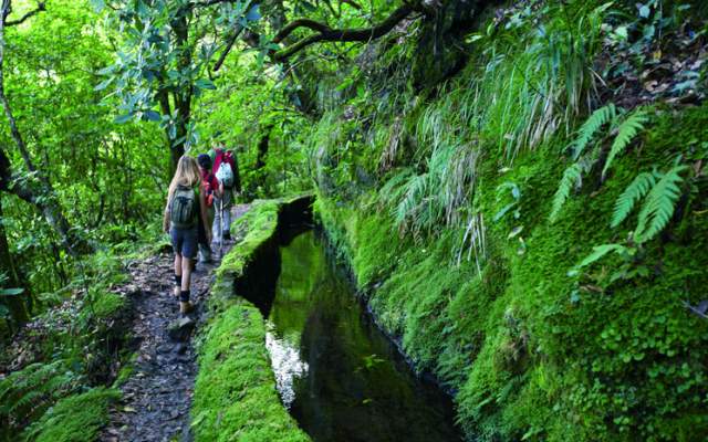 Madeira Levada da portela