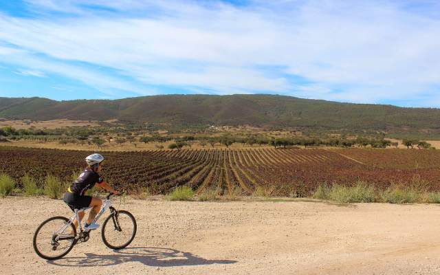 Centro Cycling'Portugal da Serra D’Ossa - Percurso 11 Borba - Verde