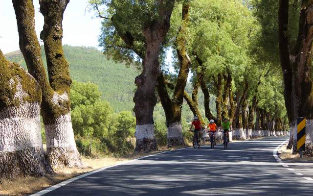 Centro Cycling'Portugal de Castelo de Vide / Marvão - Percurso 14 Beirã - Vermelho
