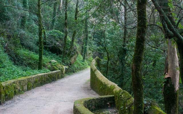 Lisbon Region / Walking