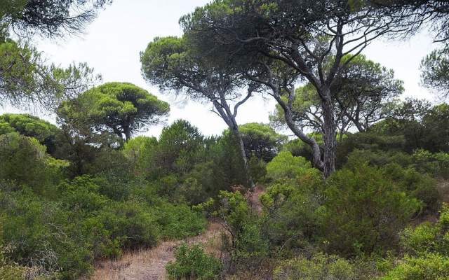 Lisbon Region / Walking