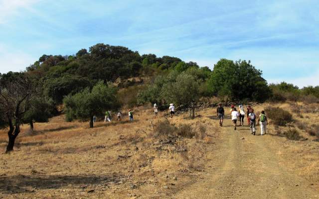 PR10 CTM - Percurso Pedestre "Barrancos" / Walking
