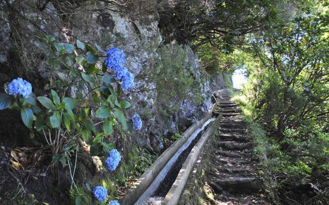 Madeira