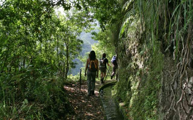 Levada do Rei
