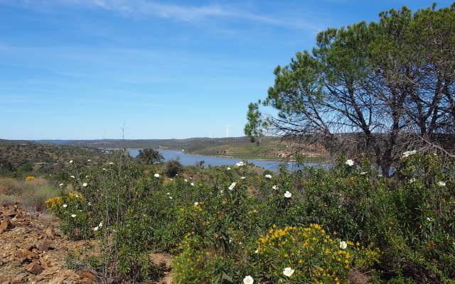 Boa Vista / Cycling