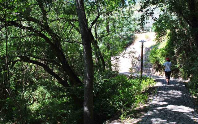 PR2 MCQ - Caminho das Caldas - Picota / Walking