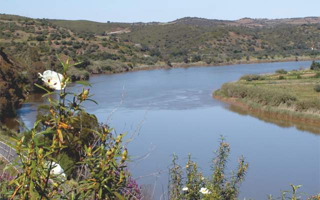 Uma Janela para o Guadiana / Walking