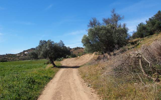 Cerro acima, cerro abaixo / Cycling