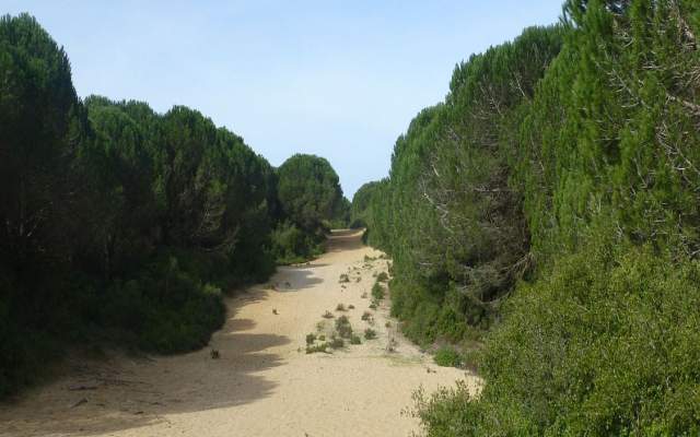 Lisbon Region / Walking