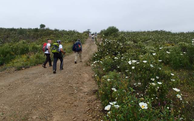 Setor 1 - Alcoutim a Balurcos / Walking
