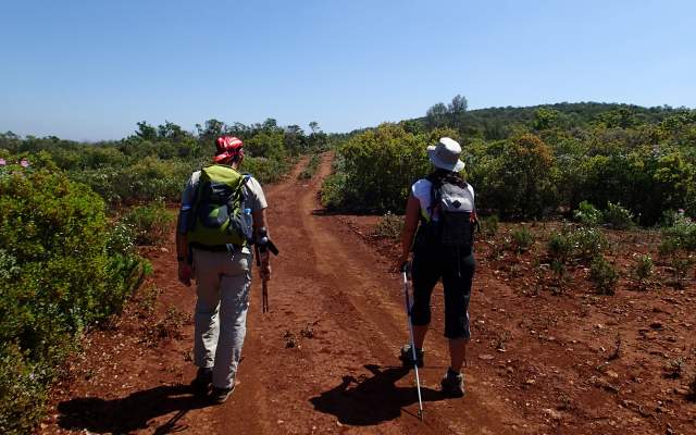 Setor 7 - Salir a Alte / Walking