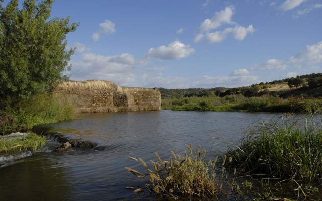 TransAlentejo