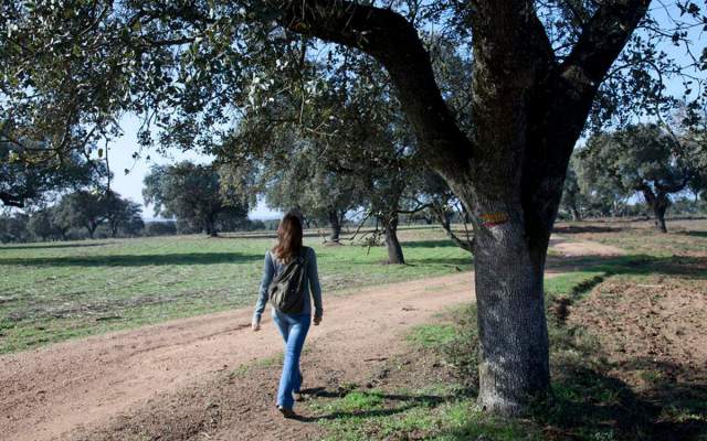 Alentejo