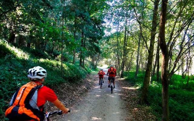 Porto e Norte / Cycling