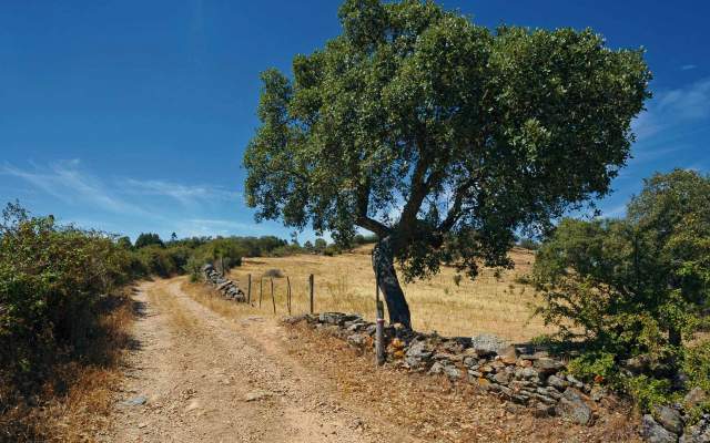 GR40 - Caminho Português Interior de Santiago – Etapa de Nisa