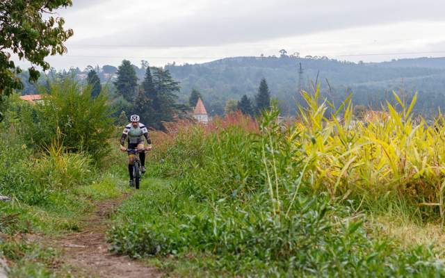 Centro de BTT Arganil - Percurso 31 - Verde