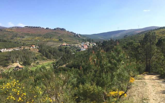 Centro de BTT Pampilhosa da Serra - Percurso 18 - Azul