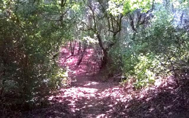 Centro de BTT Penacova - Percurso 12 - Azul