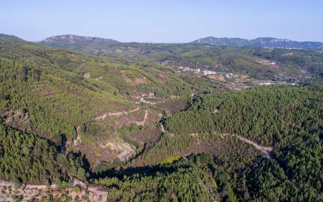 Centro de BTT Proença a Nova - Percurso 33 - Vermelho