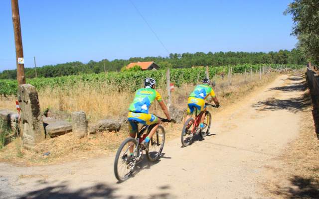 Centro de BTT Seia - Percurso 21 - Verde