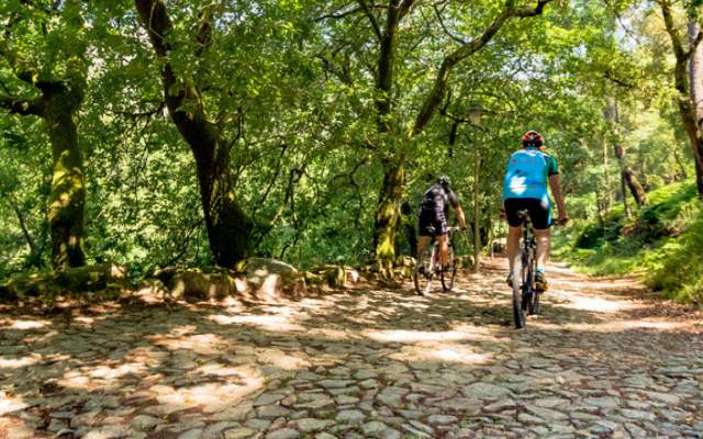 Centro de BTT Valongo - Percurso  02 - Azul