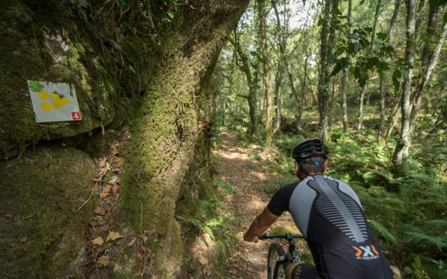 Centro de BTT Vouzela - Percurso 4 - Vermelho
