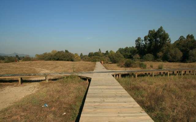 Veigas - Viana do Castelo