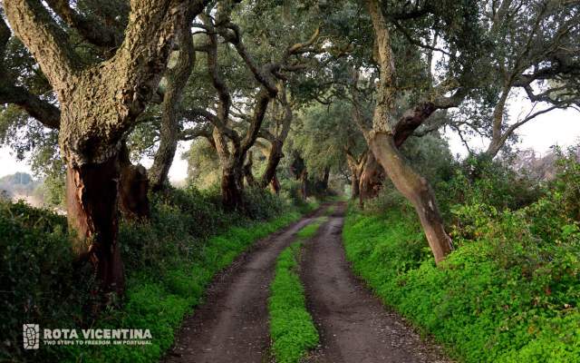 Caminho Histórico / Cercal do Alentejo - Porto Covo