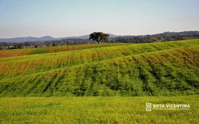 Caminho Histórico / Vale Seco - Cercal do Alentejo