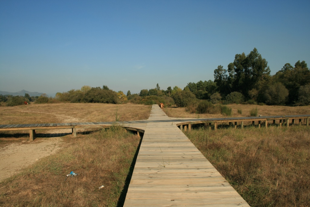 Viana do Castelo: Serra D´Arga, Vale do Lima e a Costa Atlântica - Descubra  Minho: Walking tours in Portugal